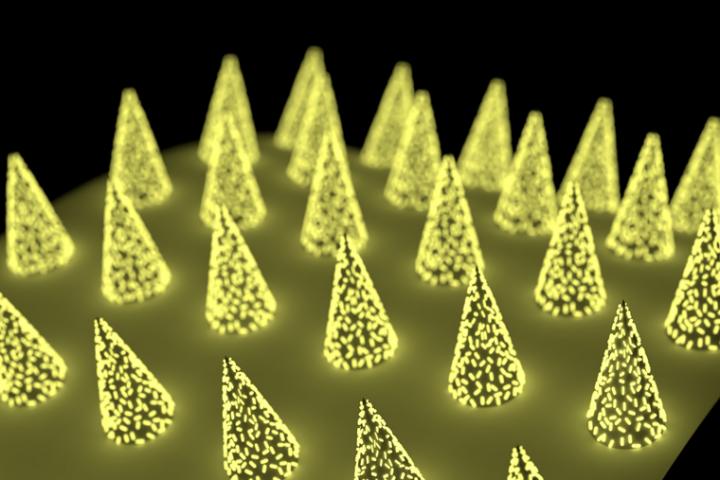 Microneedle patch with plasmonic fluor, ultrabright gold nanolables