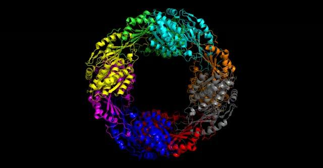 Enzyme 5NAA-A is Rare and Odd