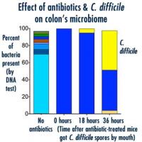 Effect of <i>C. difficile</i> on Gut Microbiome
