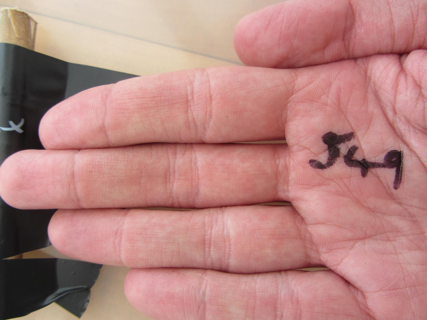 'Feminine' 2D:4D ratio