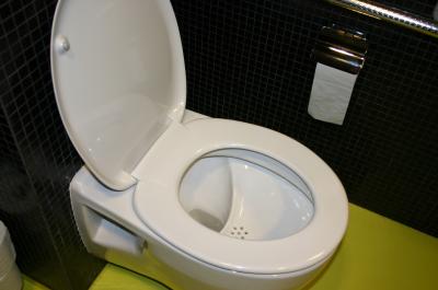 NoMix Toilet