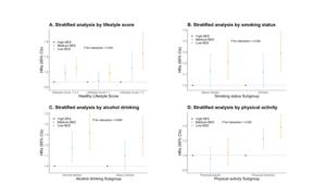 Associations of socioeconomic status and incident AMD by healthy lifestyle score and each behavior.