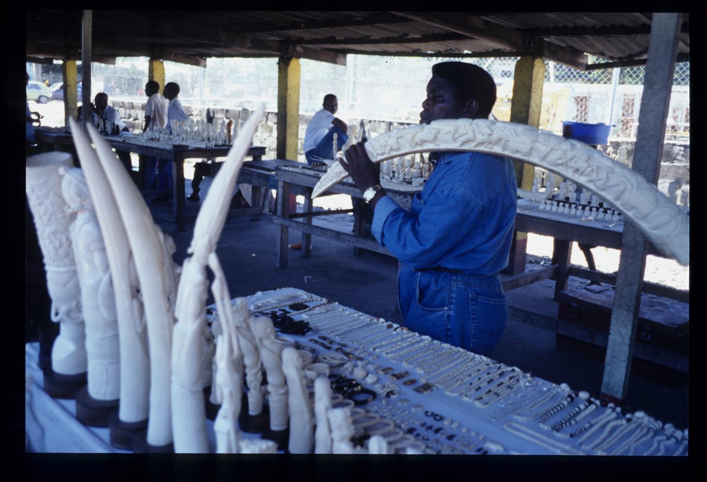 Local Ivory Market, Central Africa