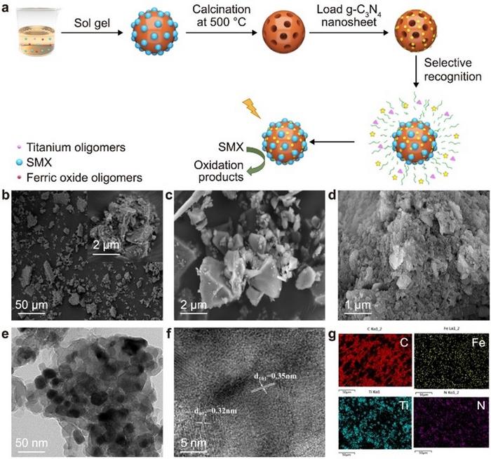 A, The fabrication process of MFTC. b–d, SEM images of MFT (b), NFT (c), MFTC (d). e–f, TEM images of MFTC. g, SEM element mapping images for C, Fe, Ti, and N of MFTC.