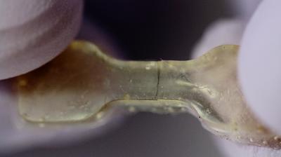 Self-Healing Polyurea