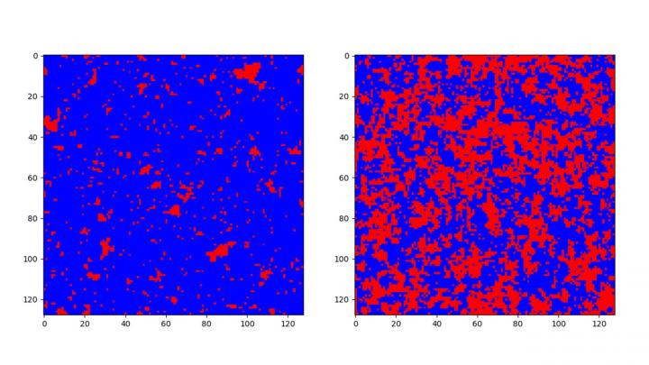 Simulated low temperature (left) and high temperature (right) phase of a 2D Ising model.