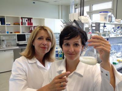 Allergy Research at the Messerli Research Institute