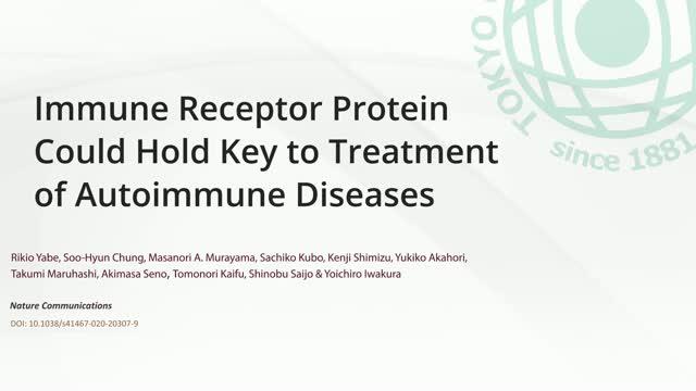 Immune Receptor Protein Could Hold Key to Treatment of Autoimmune Diseases