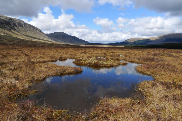 Snibe Bog Dumfries and Galloway - Credit Emma Goodyer - IUCN UK (1)