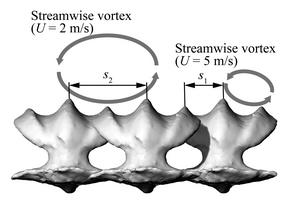 Figure 2. Shark denticles