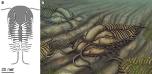 Mating_reconstruction.JPEG