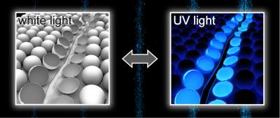 New Technique Detects, Illuminates Damage in Materials