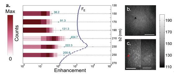 Figure 2 | experimental measurement of fluorescence enhancement.