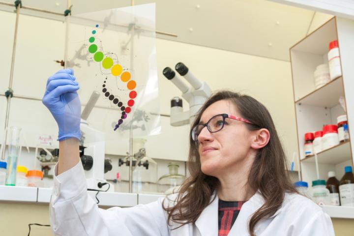 Record-Long Fragment of DNA was Imprinted in the Polymer