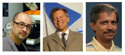 Alexander A. Balandin, Roger Lake and Ashok Mulchandani, University of California - Riverside