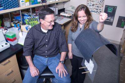 Dale Clayton and Sarah Knutie, University of Utah