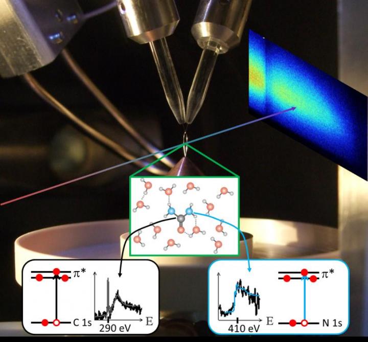 Fig. 1: Liquid Flatjet (Solvated Urea) Illuminated by a Broadband Soft X-Ray Pulse