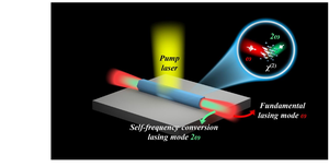 Figure 1. Schematic diagram of the self-frequency-conversion nanowire laser.