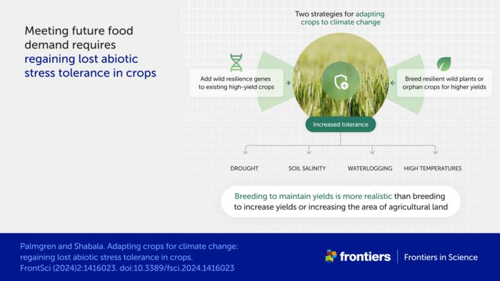 Meeting future food demand requires regaining lost abiotic stress tolerance in crops