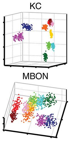 Separating Good Smells from Bad