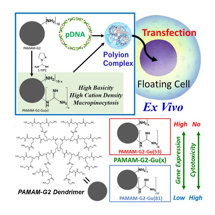 New polyion complex for CAR T-cell therapy.