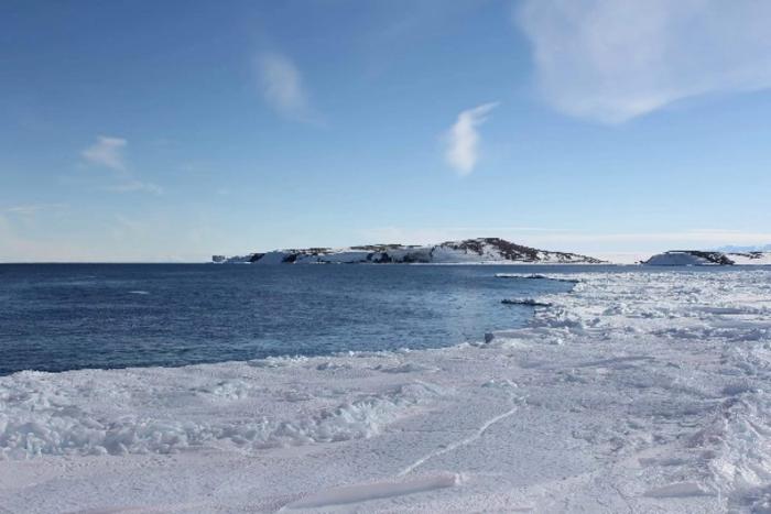 Antarctic sea ice