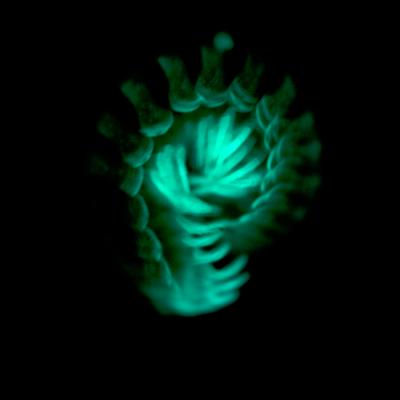Glowing Millipede
