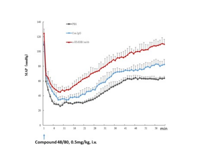 HMGB1 mediates anaphylaxis-induced drop in blood pressure