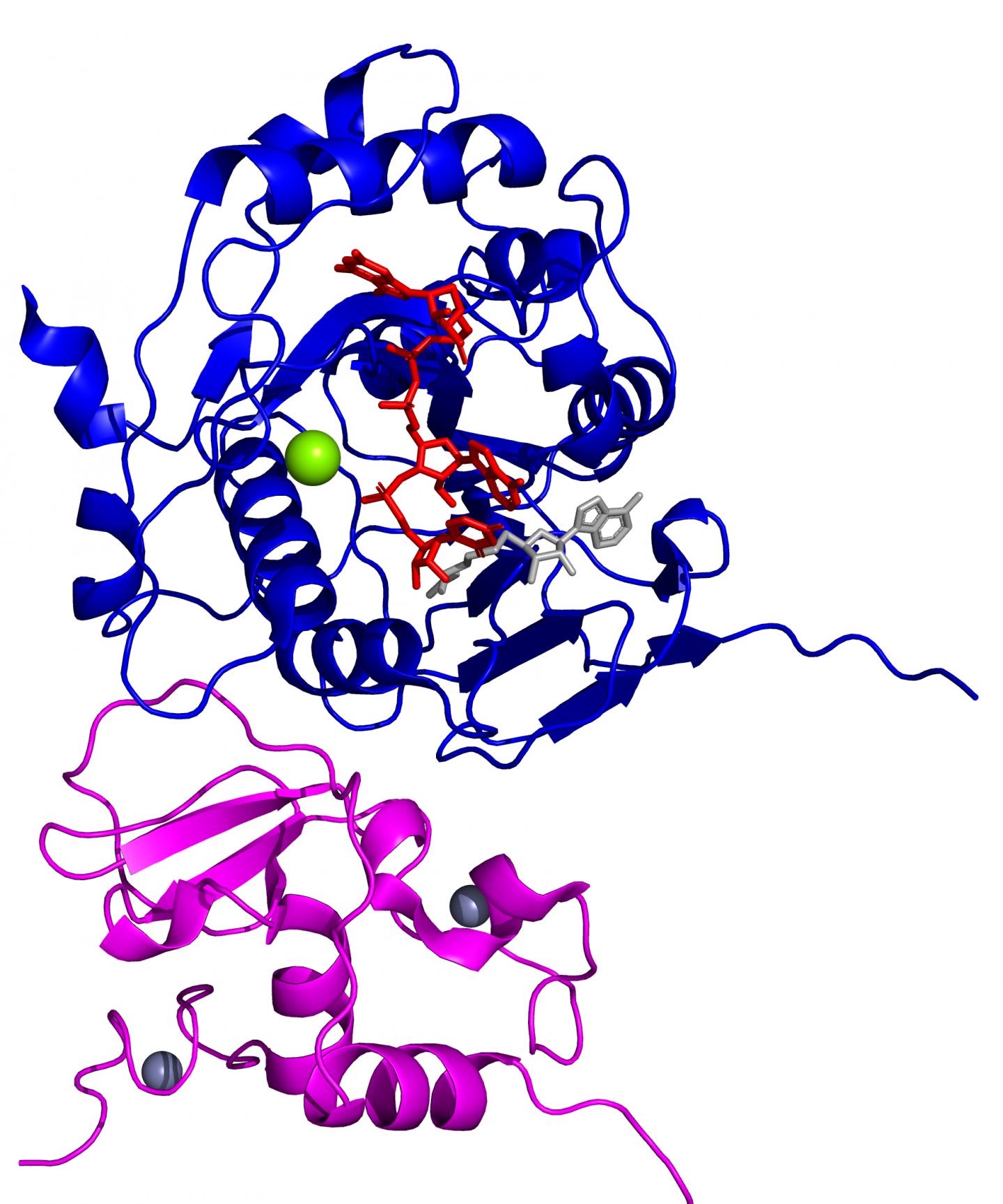 Disguising machinery used by COVID-19 virus