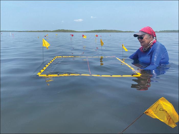 An excavation grid is put in place to mark an area of high-density pottery on the sea floor.