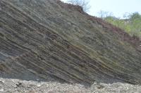 Photo of unit 4 of the Xiamaling Formation