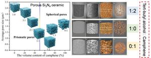 Pore structure of porous Si3N4 as a function of the volume of camphene