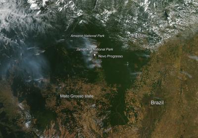 Signs of Deforestation in Brazil