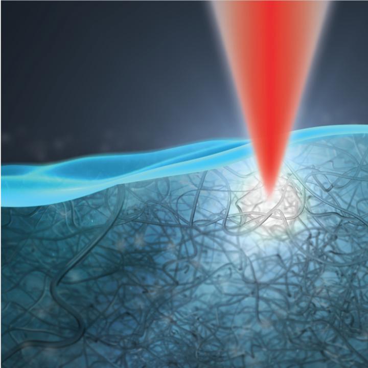 Two-Photon Collagen Crosslinking in Corneal Tissue of the Human Eye