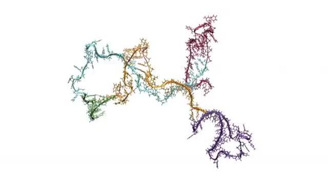 RNA Folding