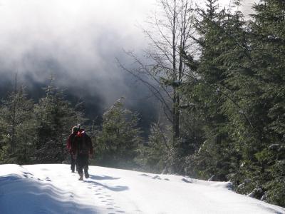 Measuring Snowpack in the Olympic Mountains