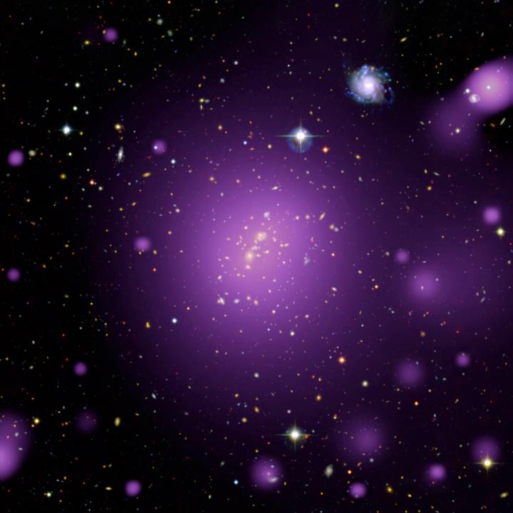 Multi-Wavelength View of Galaxy Cluster XLSSC006