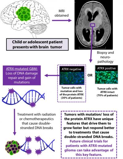 Potential for Treatment