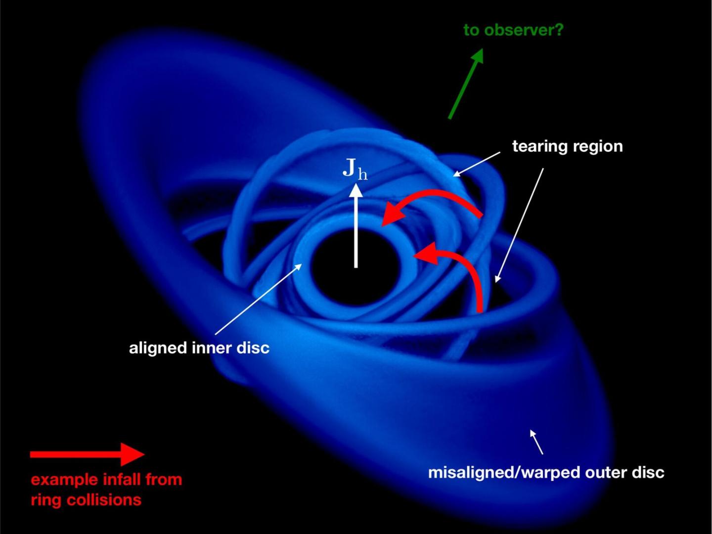 Characteristic Disc Structure Around the Black Hole