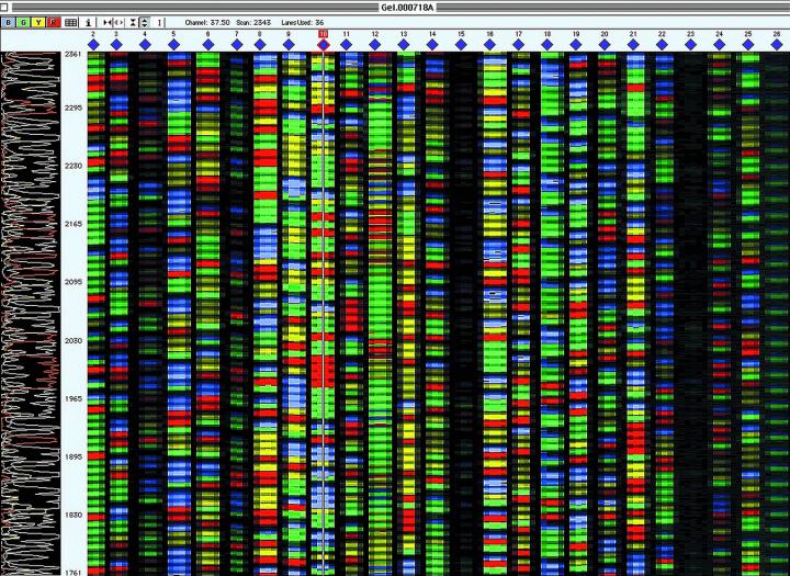 Genome Sequencing Results