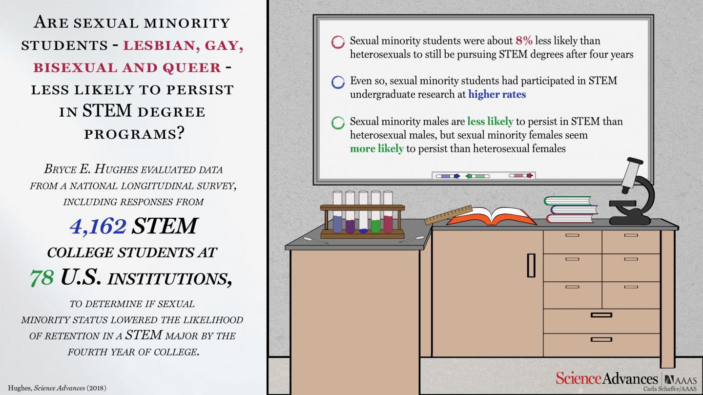 Are Sexual Minority Students Less Likely to Persist in STEM Degrees?
