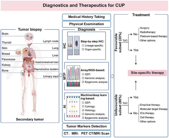 Advancements in Diagnostics and Therapeutics for Cancer of Unknown Primary in the Era of Precision Medicine