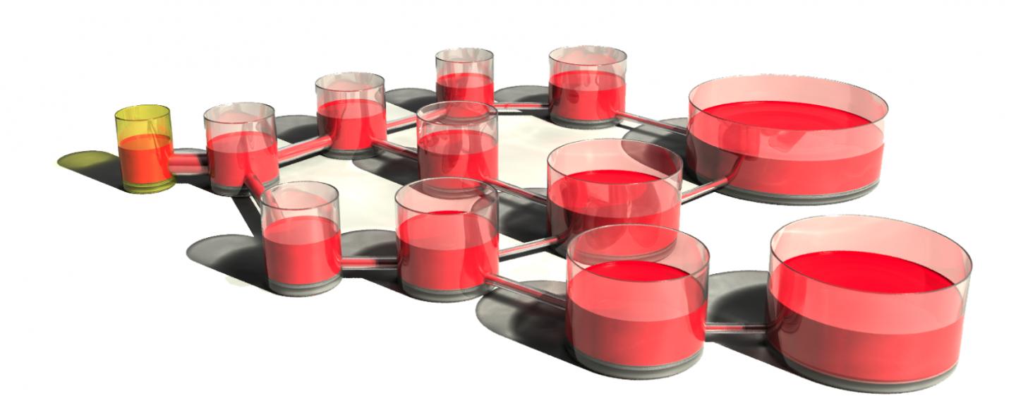 Mathematical Model Describes How Brain Makes New Memories while Preserving the Old