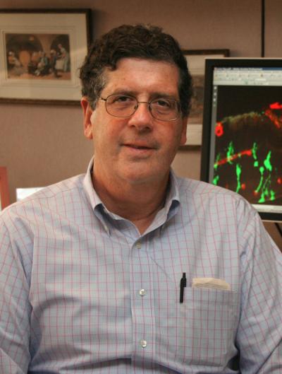 Friedlander, Scripps Research Institute