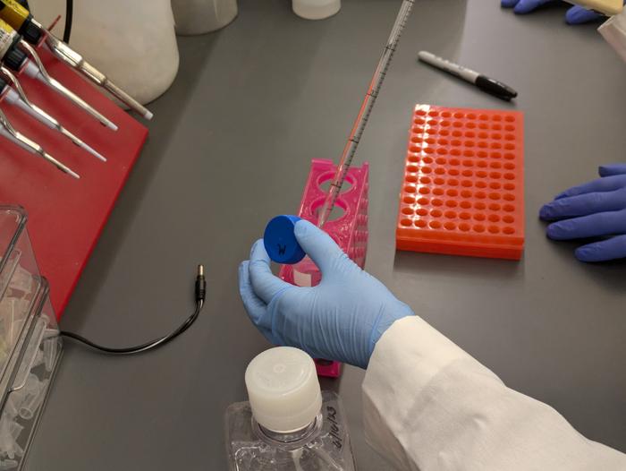 Pipetting liquified metformin