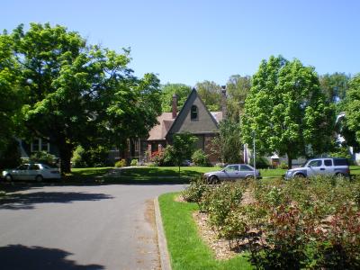 Trees Obstructing the View in a Portland, Ore., Neighborhood