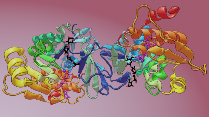 Discovery of a new microbiome-encoded enzyme that inactivates a common diabetes drug