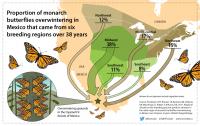Monarch Butterfly Birth Zones