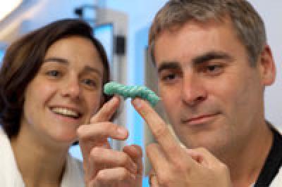 Dr. Nick Waterfield and Dr. Maria Sanchez-Contreras