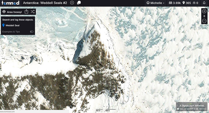 Digital Satellite Image